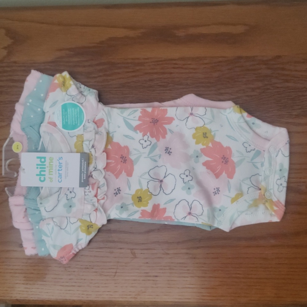 Baby Girl Carter's Onesies